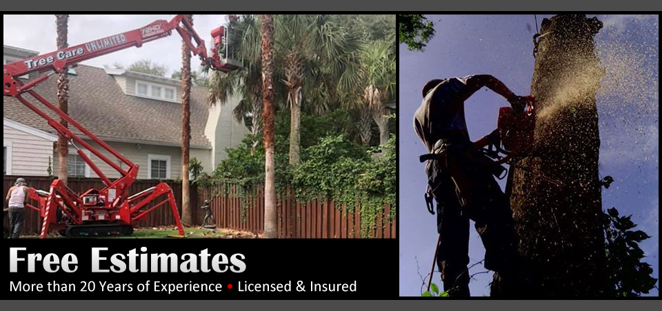 Tree Care Unlimited - Free Estimates