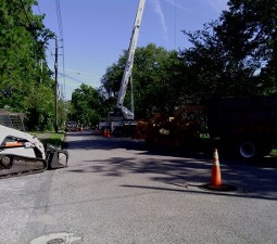 Cutting Down Trees - Tree Removal